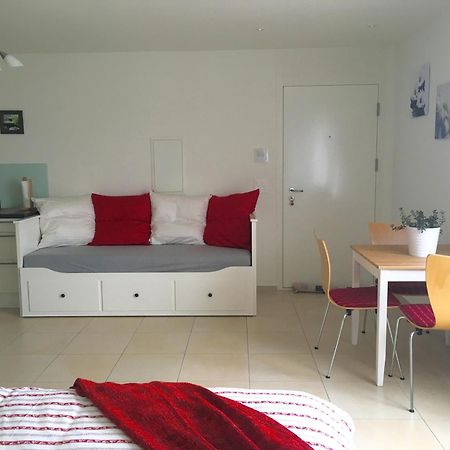 Charming Studio Near Rotsee Lucerne Kitchen/Wifi/Wasching Machine 외부 사진