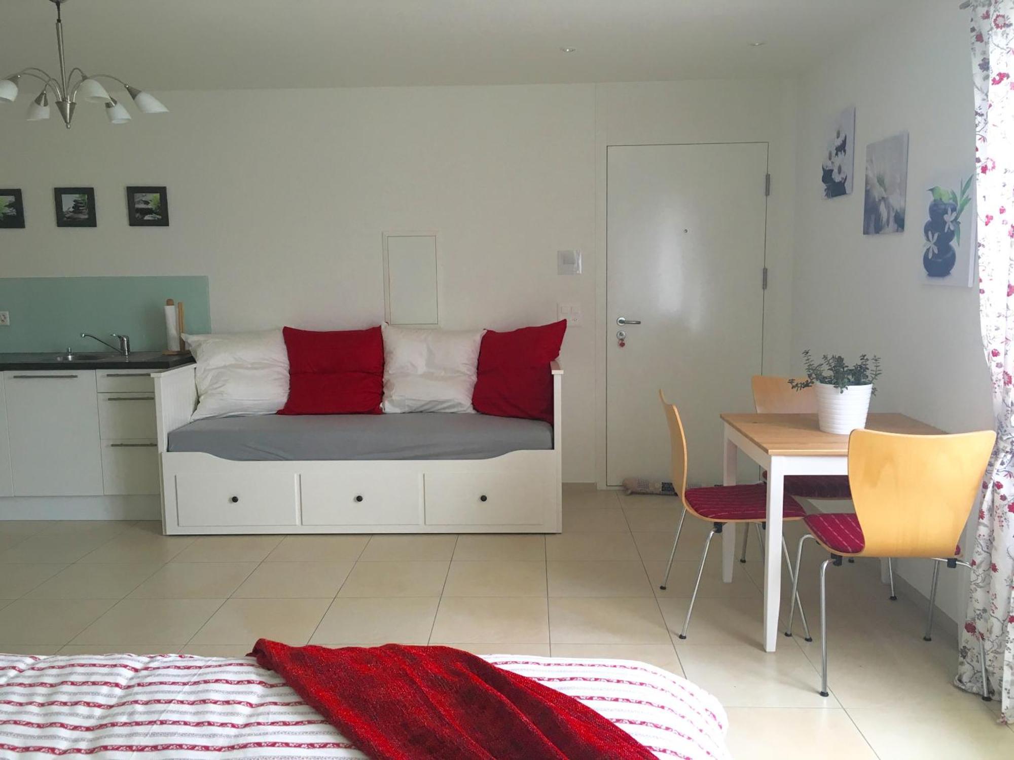 Charming Studio Near Rotsee Lucerne Kitchen/Wifi/Wasching Machine 외부 사진