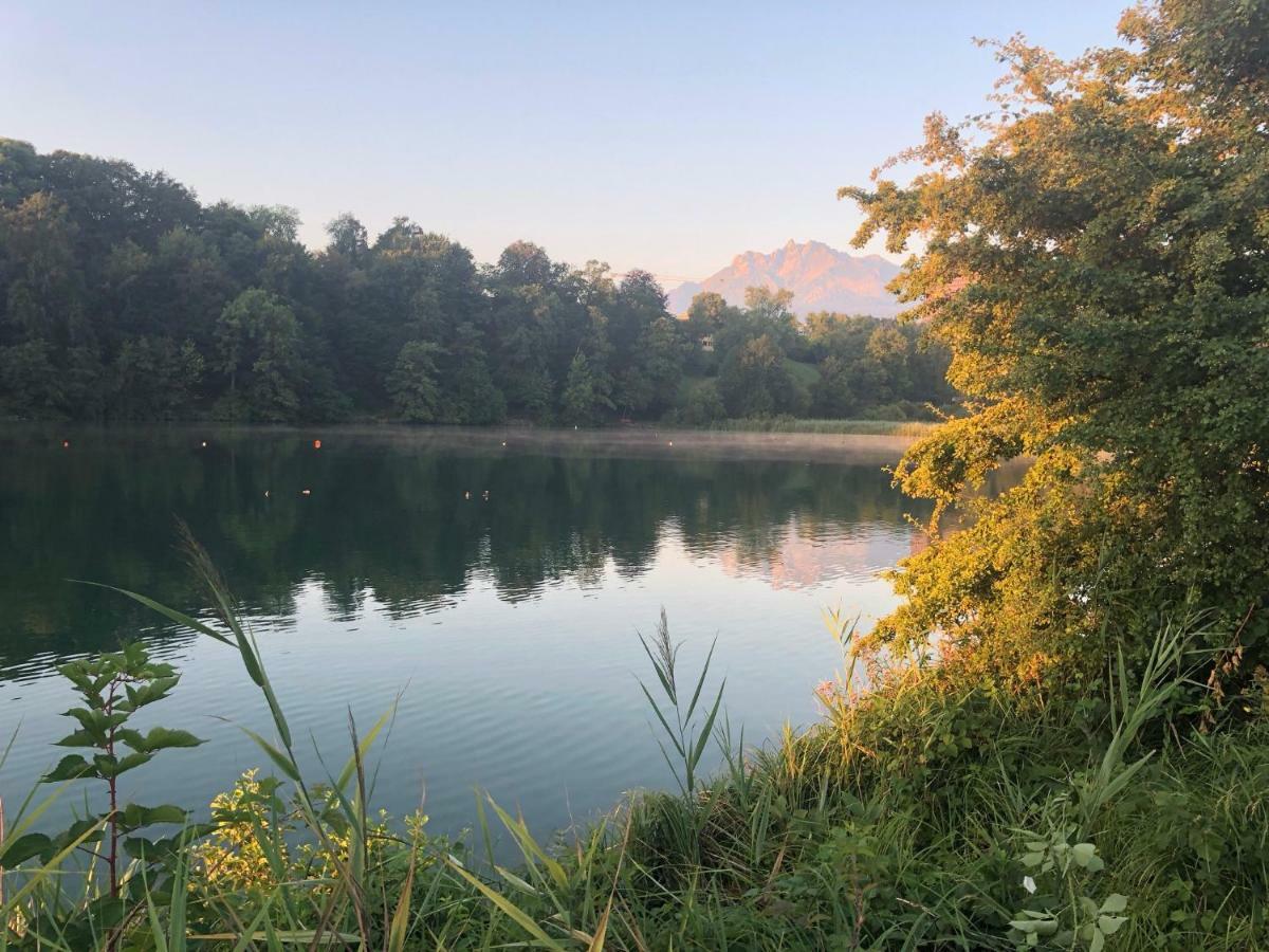 Charming Studio Near Rotsee Lucerne Kitchen/Wifi/Wasching Machine 외부 사진